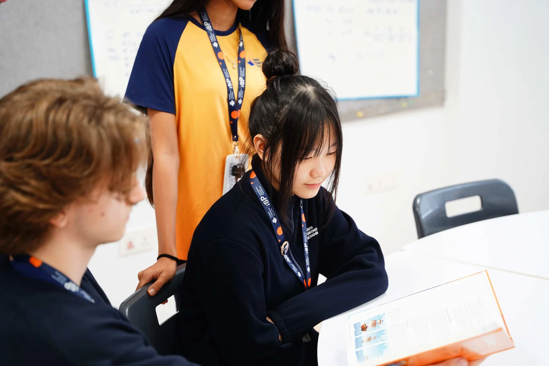 FISV International Program